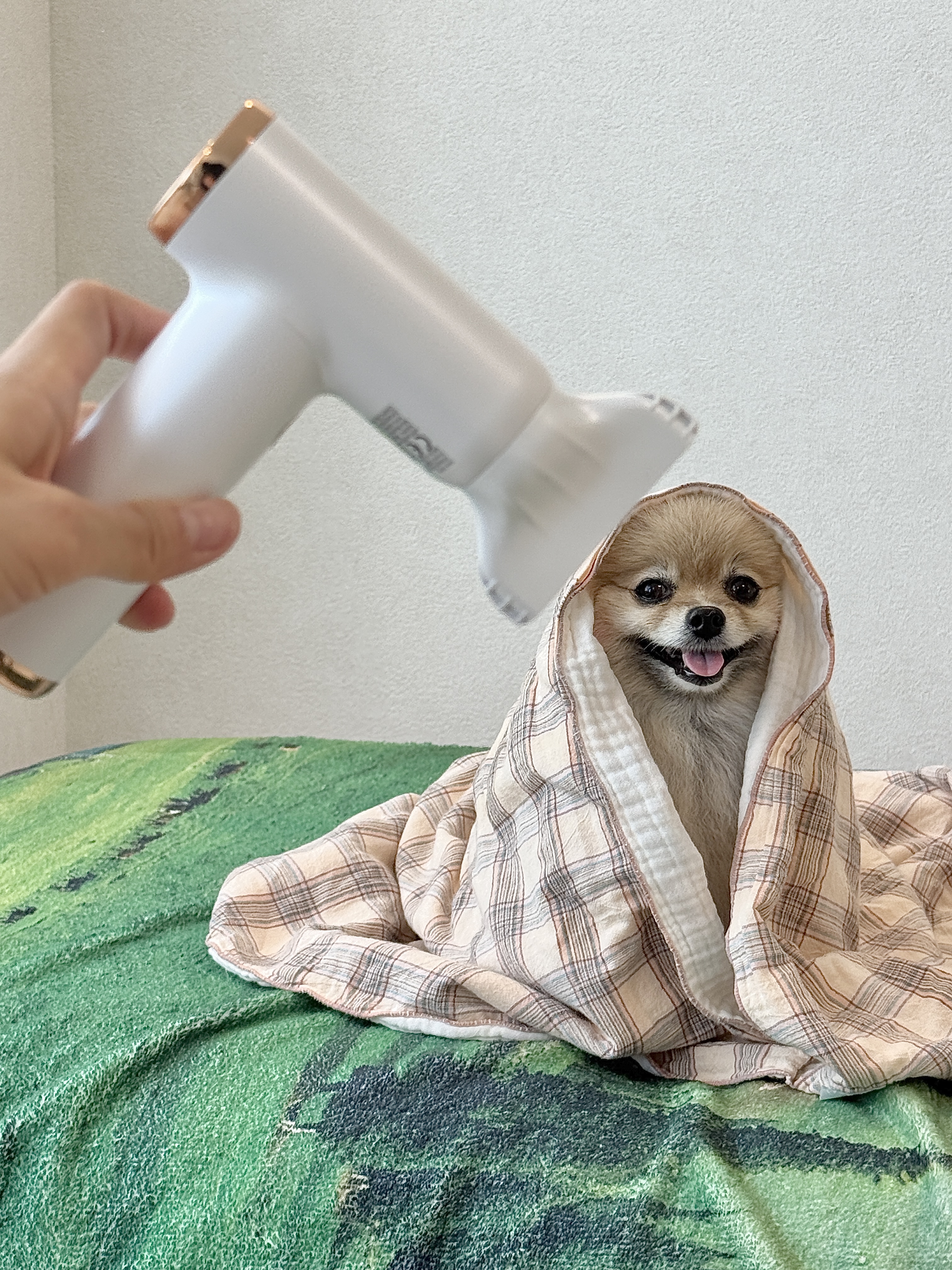 타이니무무 AERO Mini BLDC 초소형 미니 드라이기 1000W 이미지 7