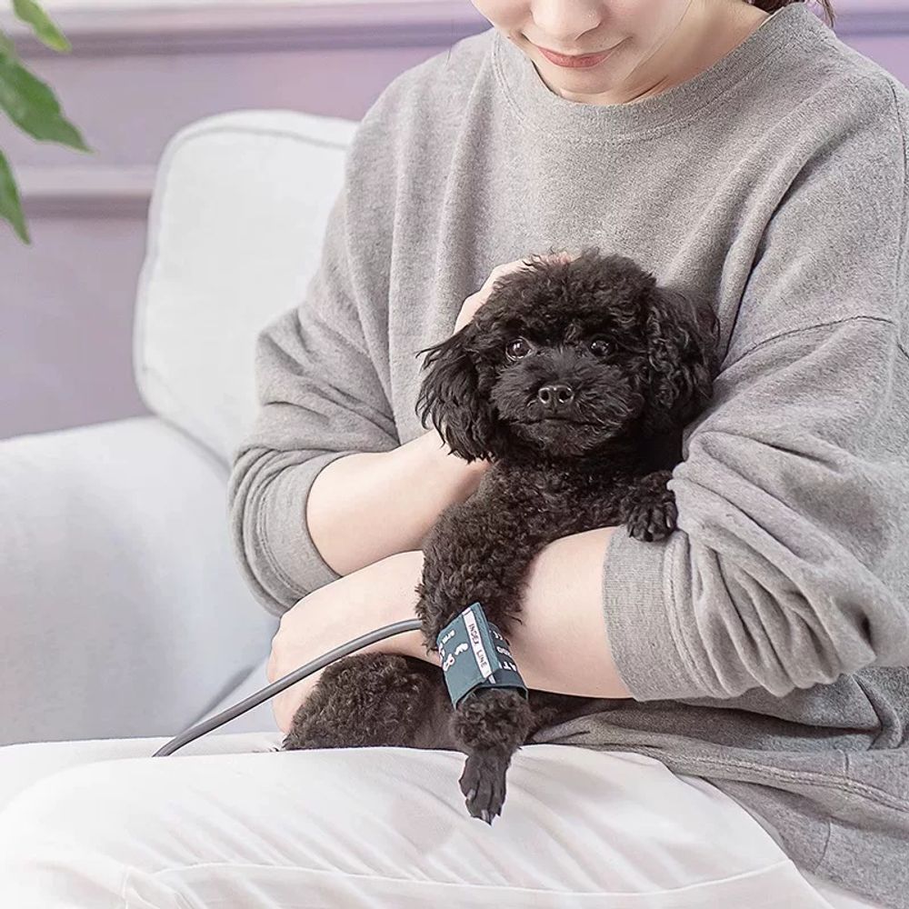 고양이 강아지혈압측정기 수의용 동물용혈압계 - 상세 이미지 4