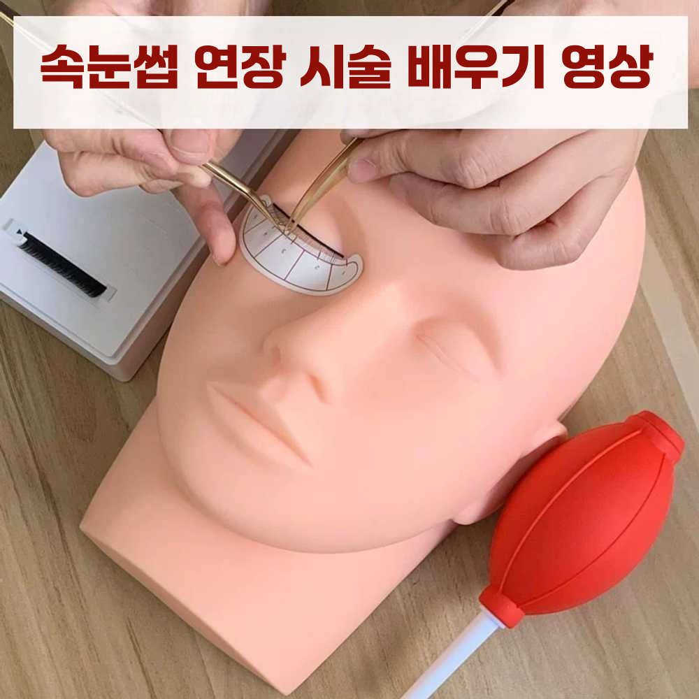 속눈썹 마네킹 미용 연습용 실기 모델 얼굴 훈련 대회 통 속눈썹3개 - 상세 이미지 3