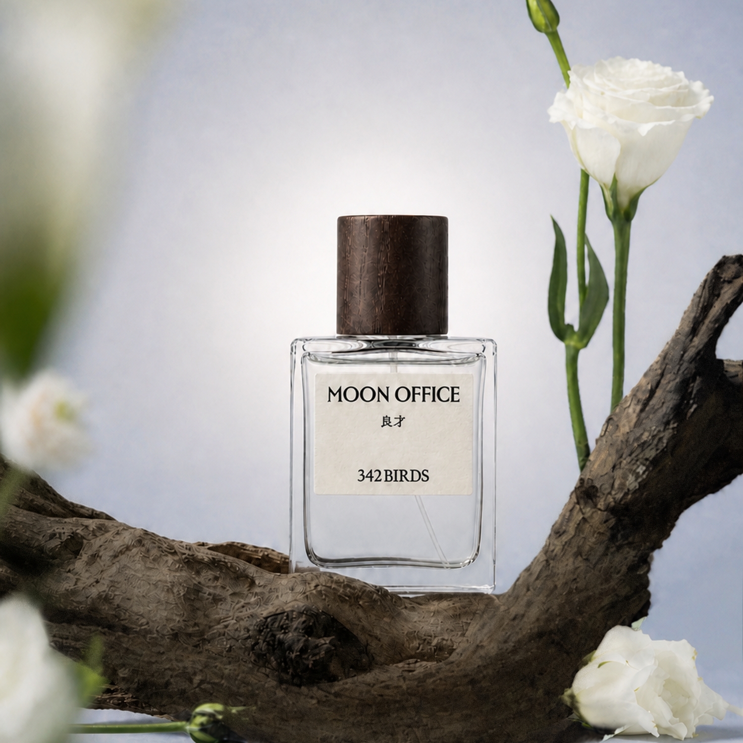문오피스 니치향수 50ML 342 버즈 플로럴 크리미 우디 - 상세 이미지 3