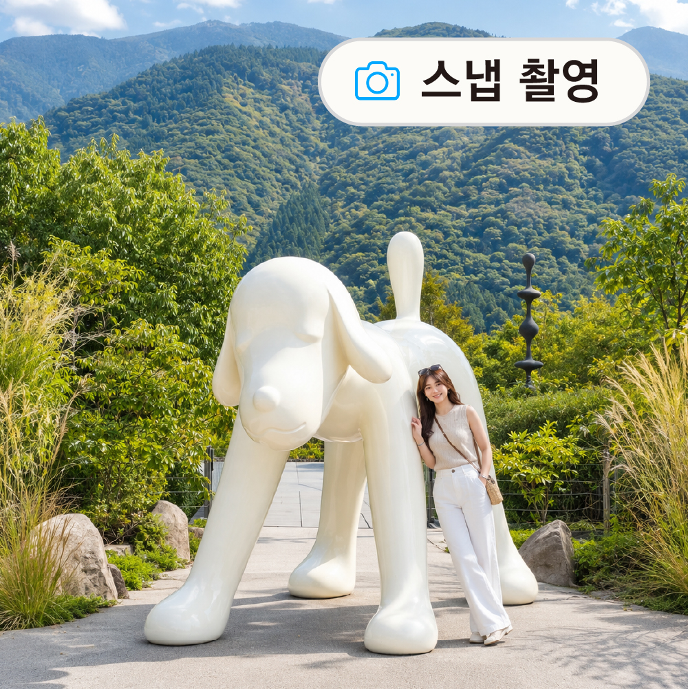 [유후인ONLY] 일본 후쿠오카 1일 버스투어 현지 여행 유투어버스 최소출발10명 이미지 7