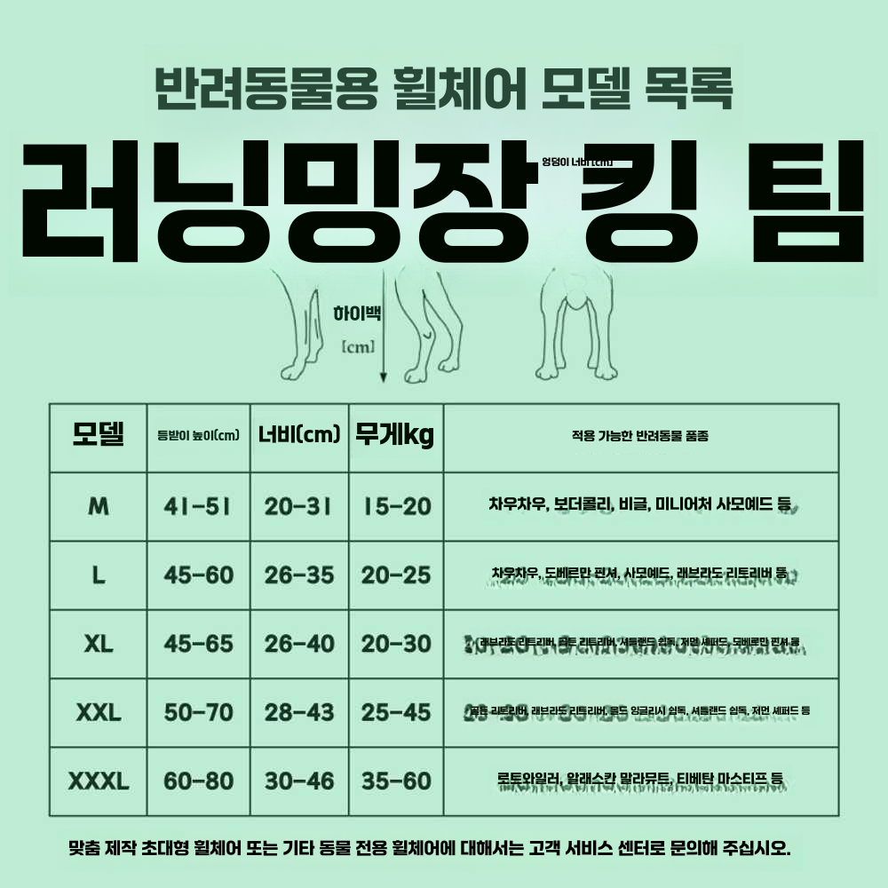 강아지 보행기 훈련 슬개골 장애 애완 동물 바퀴 애묘 M - 상세 이미지 5