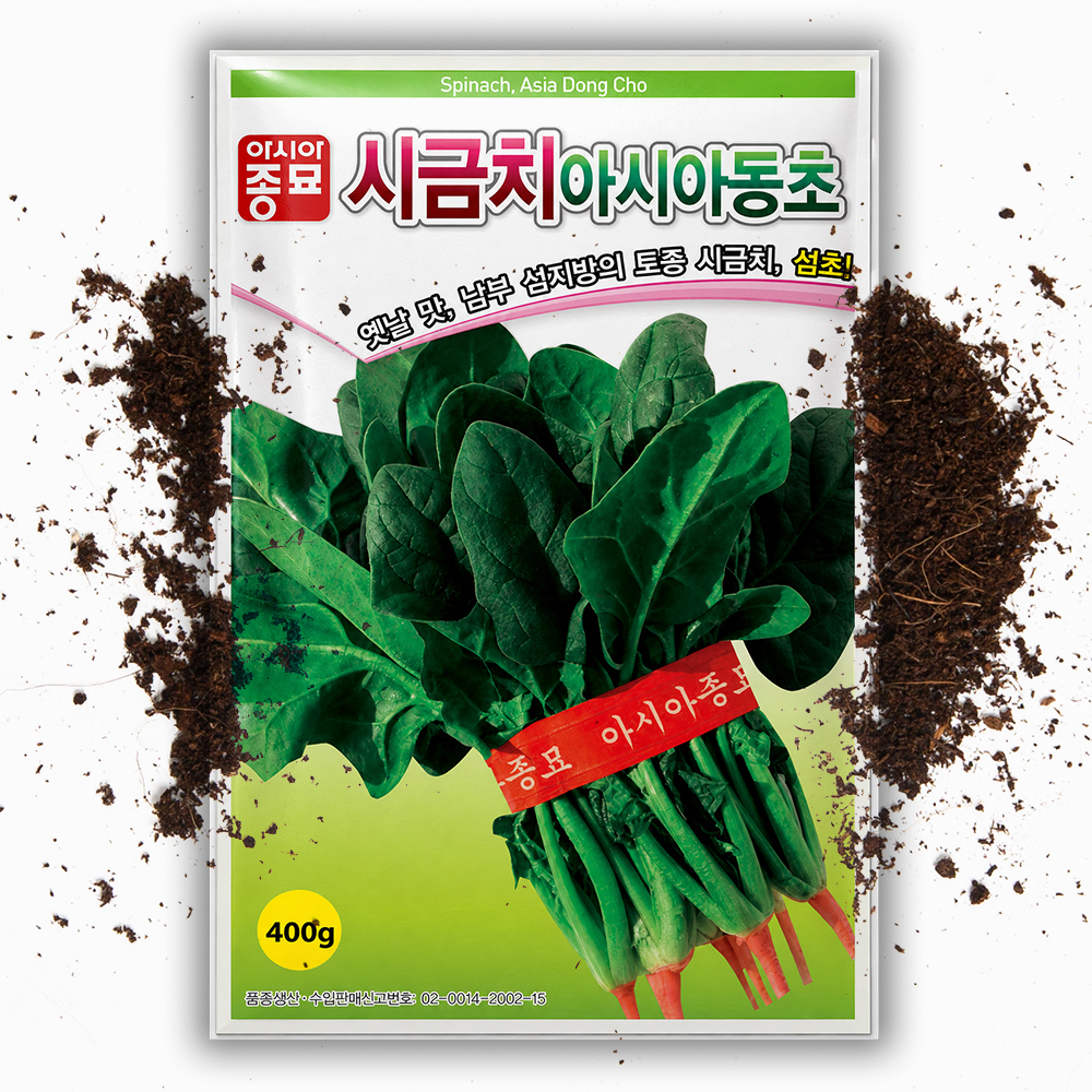 토종 겨울시금치 씨앗 400g 대용량 월동 섬초 동초 재래종 시금치 씨앗 대포장 - 상품 이미지