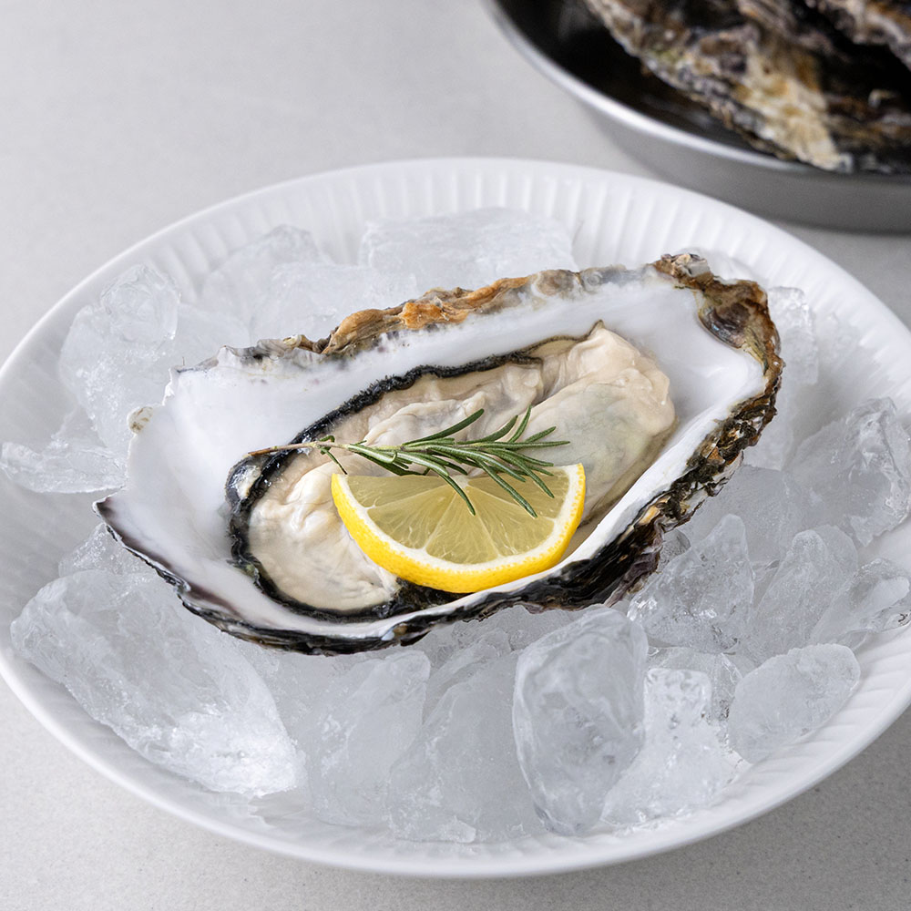 통영 제철 삼배체굴 바위굴 2kg 세척 크림 석화 산지직송 캠핑 - 상세 이미지 2