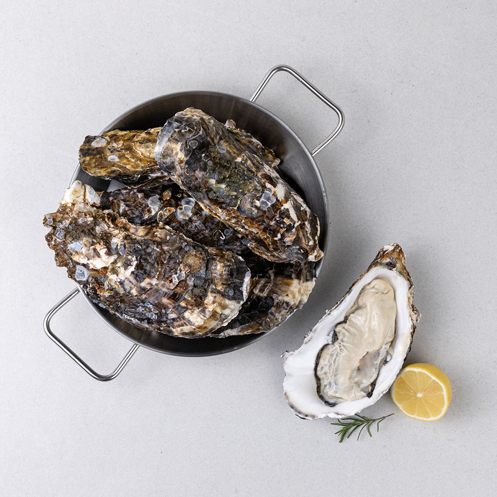 통영 제철 삼배체굴 바위굴 2kg 세척 크림 석화 산지직송 캠핑 - 상품 이미지