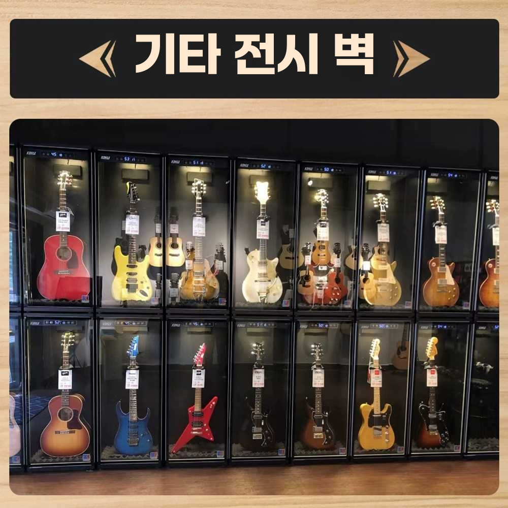 기타 캐비넷 제습함 일렉 전문가용 진열대 일렉 보관 C01 단일제습 130L - 상세 이미지 4