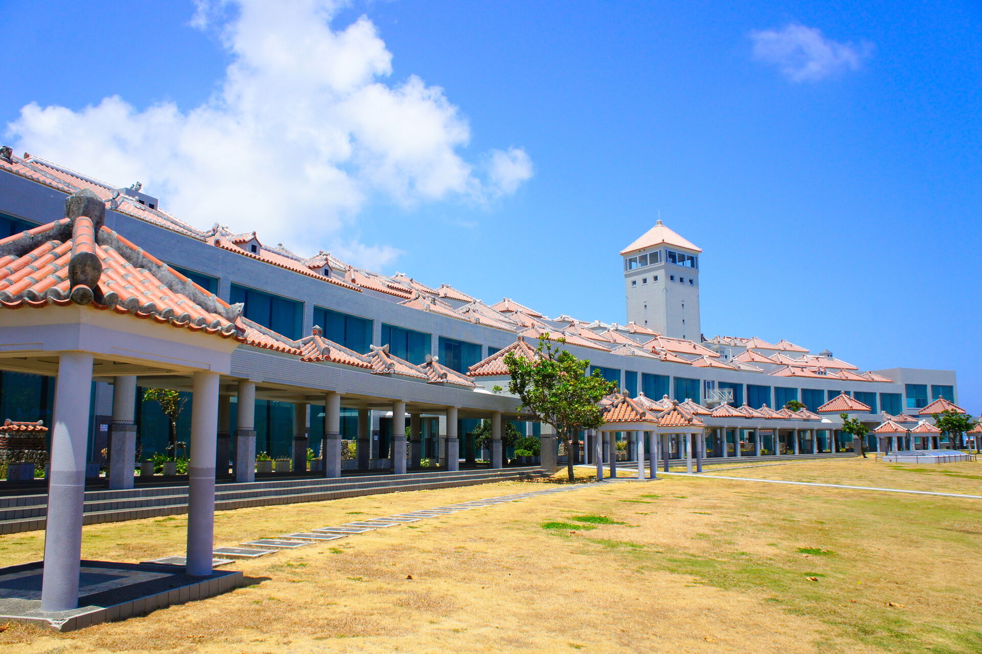 오키나와 나하 남부 단독투어 한국인가이드 전용차량 프라이빗 국제거리 오키나와월드 세나가지마 이미지 7