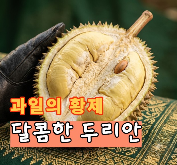 달콤 고소한 몸통 냉동 손질 두리안팩 베트남 - 상품 이미지
