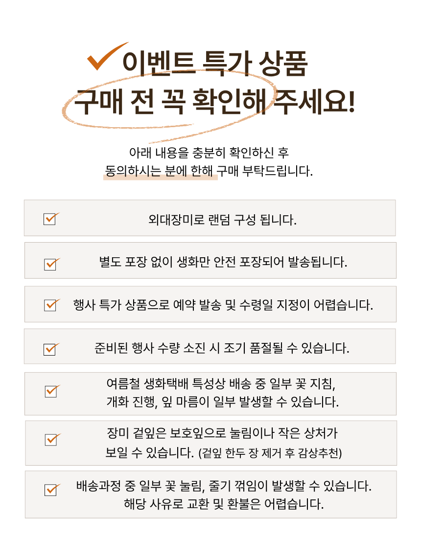 장미 10송이 이벤트 장미꽃 한다발 생화 꽃다발 온라인꽃집 샤샤플라워 이미지 6