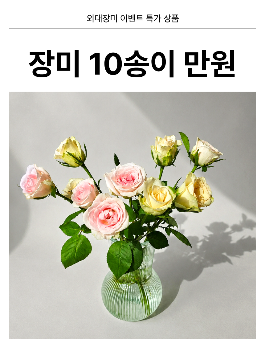 장미 10송이 이벤트 장미꽃 한다발 생화 꽃다발 온라인꽃집 샤샤플라워 - 상세 이미지 2
