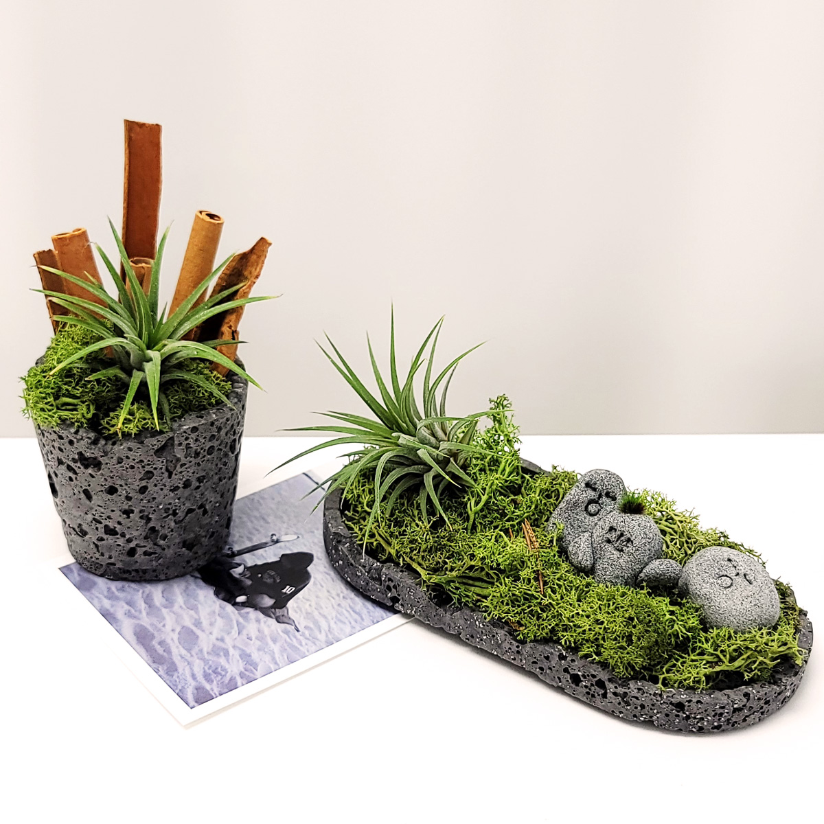DIY 발포세라믹 화분 트레이 만들기 키트 도우아트 학교 단체수업 - 상품 이미지