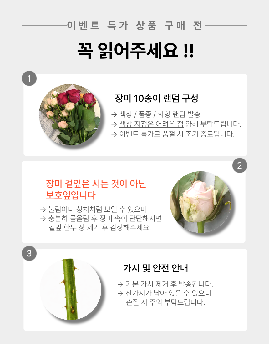 장미 10송이 이벤트 장미꽃 한다발 생화 꽃다발 온라인꽃집 샤샤플라워 - 상세 이미지 5