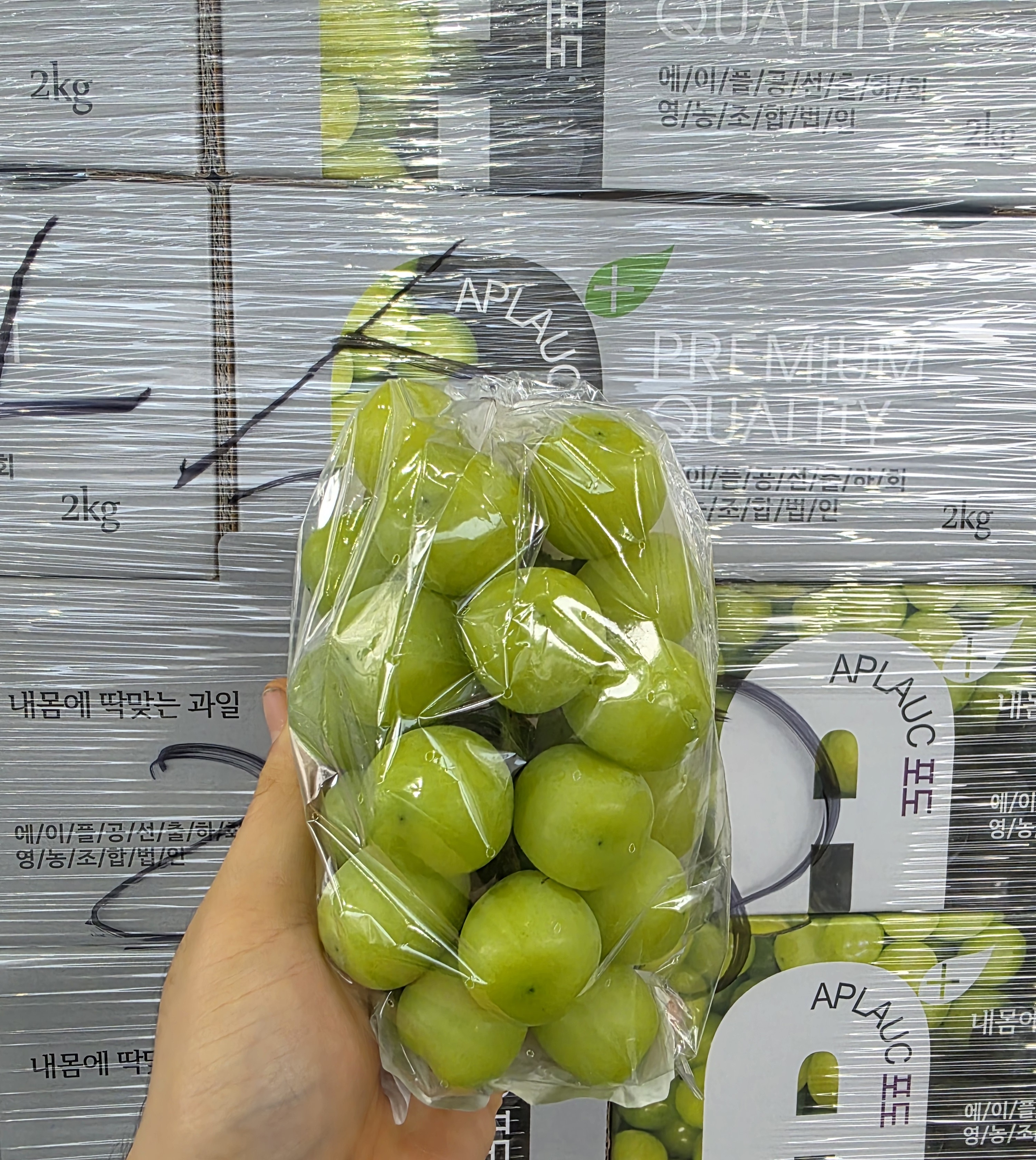 신선마켓 고당도 포도 샤인머스켓 B품, 2kg, 1개 - 상품 이미지