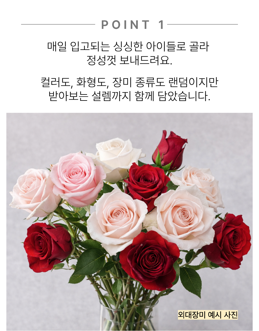 장미 10송이 이벤트 장미꽃 한다발 생화 꽃다발 온라인꽃집 샤샤플라워 이미지 7