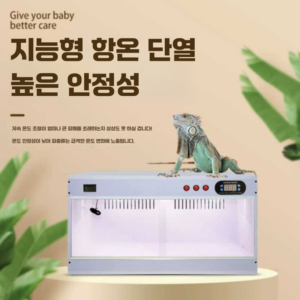 도마뱀사육장 이구아나 도둑게 놀이터 애완 하우스 60x40x40기본모델 - 상세 이미지 4