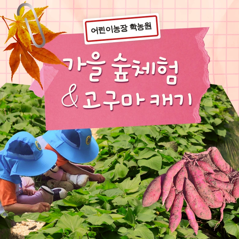 상품 이미지 1