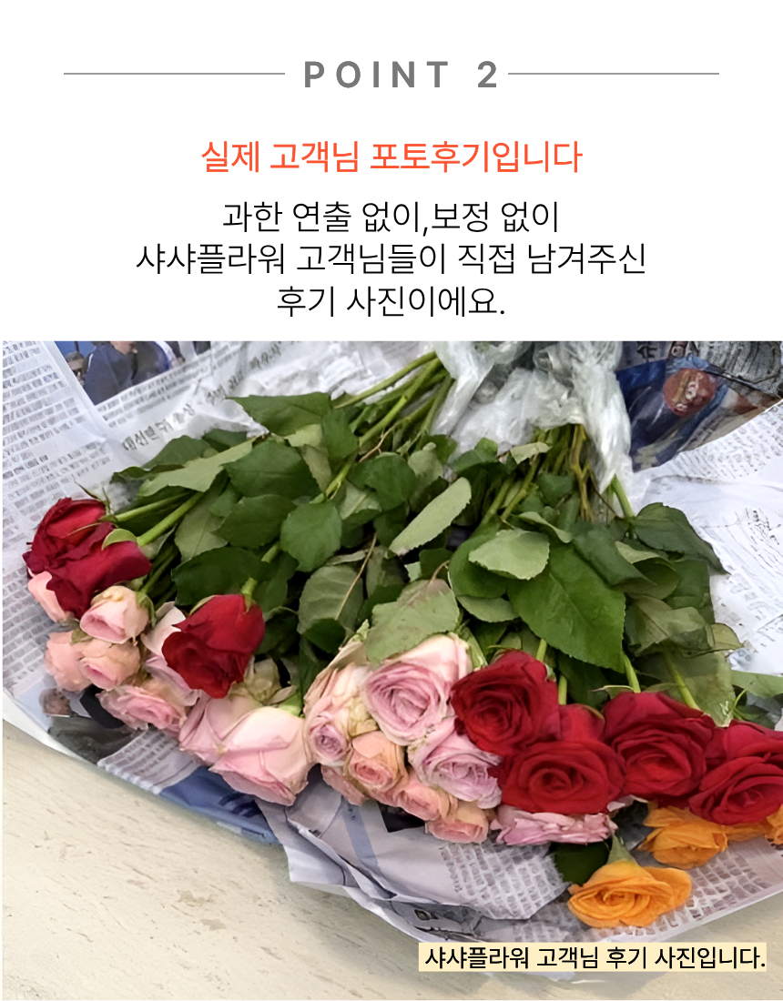 장미 10송이 이벤트 장미꽃 한다발 생화 꽃다발 온라인꽃집 샤샤플라워 이미지 8