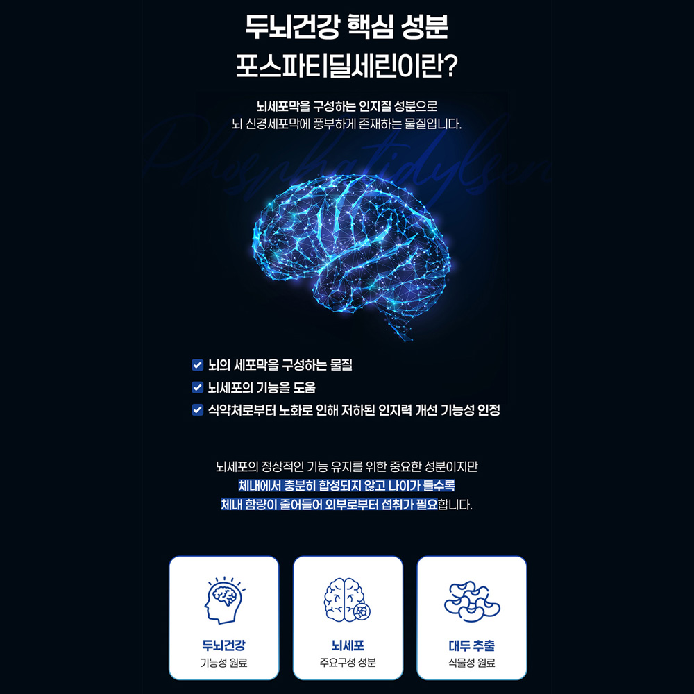 더데이 두뇌 인지력엔 PS 플러스 테아닌 포스파티딜세린 수험생 영양제 30포, 1개 이미지 8