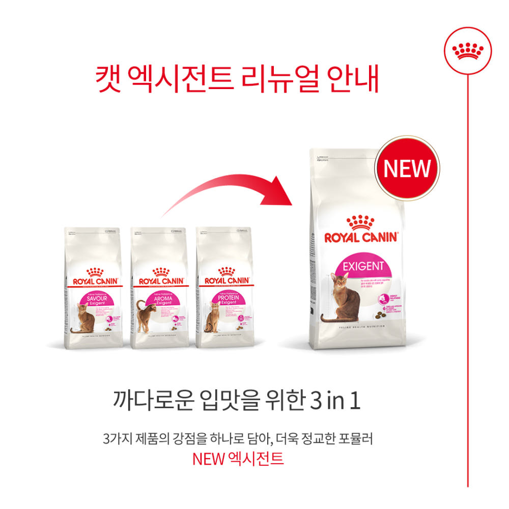 로얄캐닌 엑시전트2kg 입맛까다로운 고양이사료 닭,오리, 4kg, 1개 - 상세 이미지 5