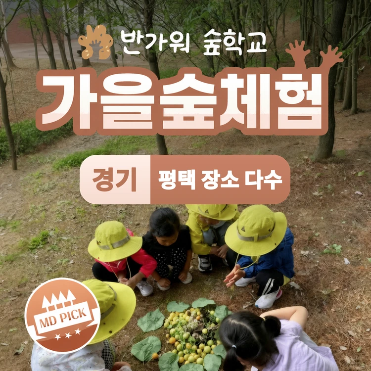 [6인이하] 평택 오감폭발 여름 숲체험 | 배다리도서관, 함박산, 학현공원 by 반가워숲학교 - 상품 이미지