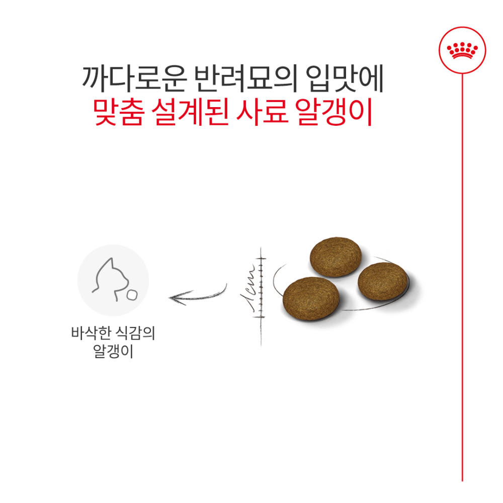 로얄캐닌 엑시전트2kg 입맛까다로운 고양이사료 닭,오리, 4kg, 1개 이미지 7