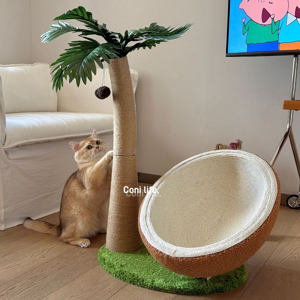 고양이 야자수 스트래쳐 캣타워 코코넛 토이 - 상세 이미지 5