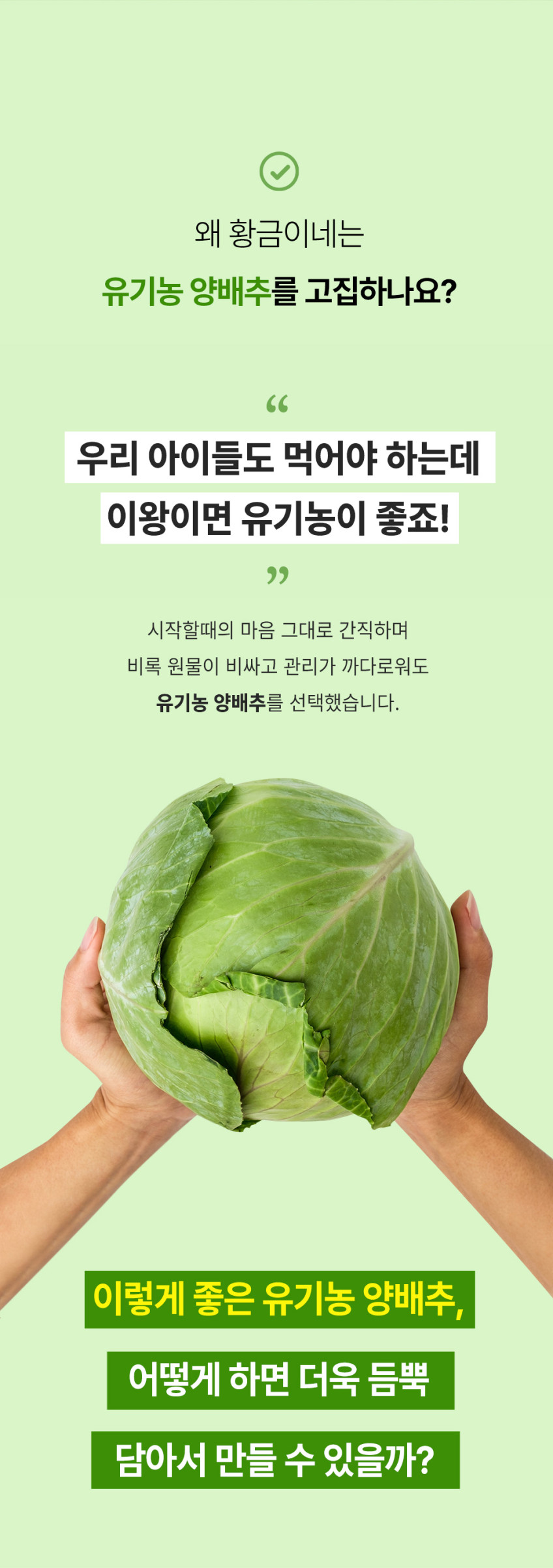 국내산 유기농 양배추즙 상품 설명 8
