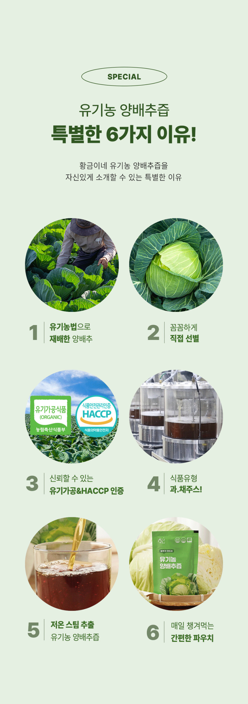 국내산 유기농 양배추즙 상품 설명 5