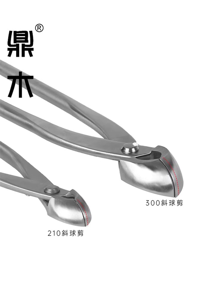 분재용 혹가위 나무 뿌리 꽃 정원 수형 모양 다듬기 170mm - 상세 이미지 3