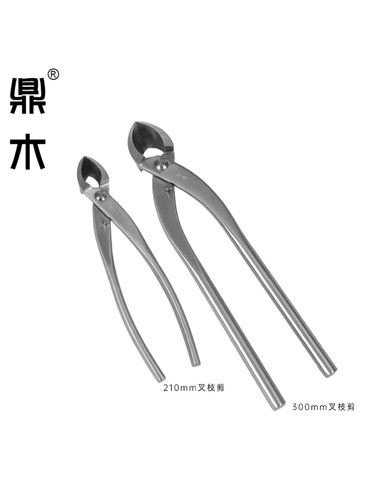 분재용 혹가위 나무 뿌리 꽃 정원 수형 모양 다듬기 170mm - 상세 이미지 5