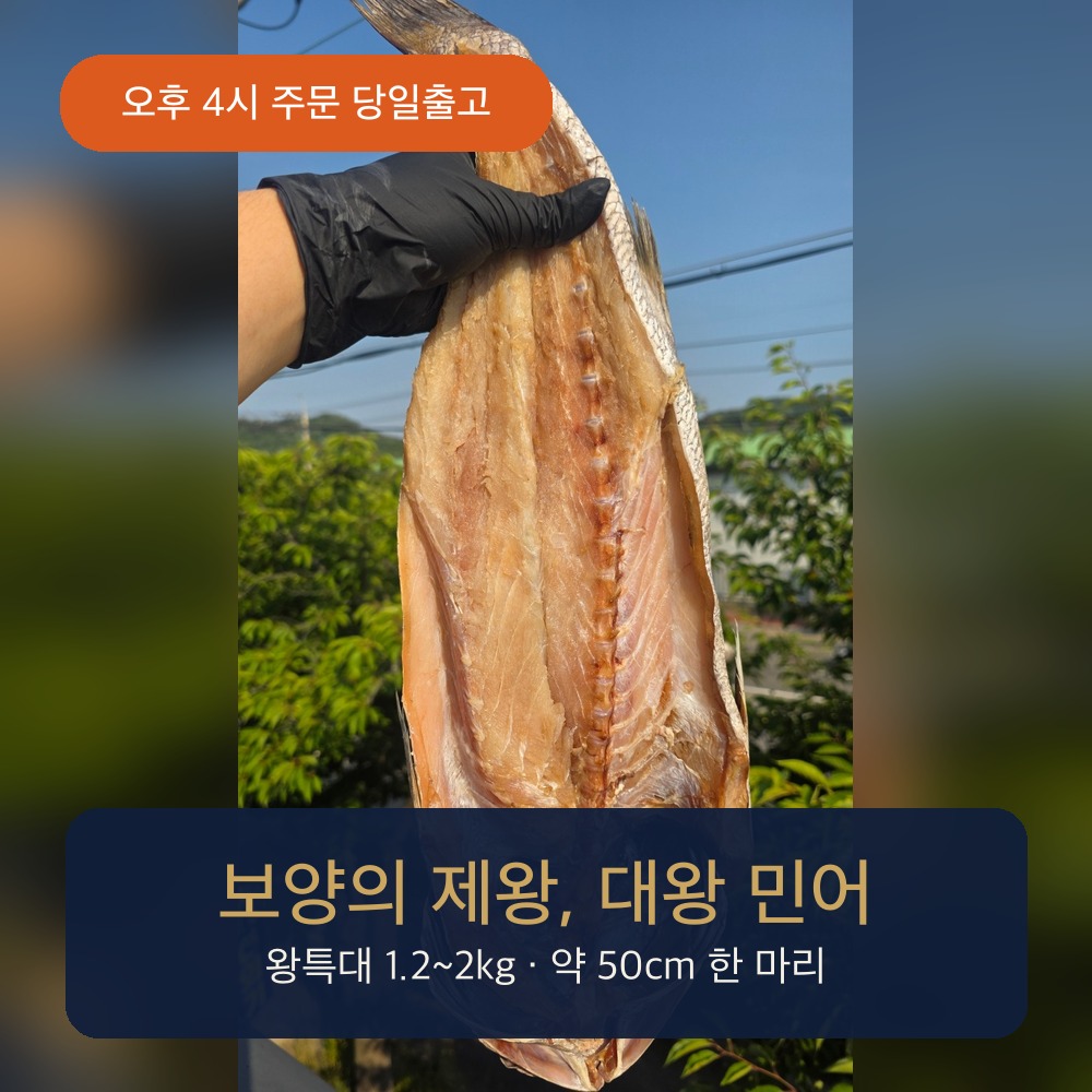 국내산 반건조 민어 손질 제수용 500g, 3개 - 상세 이미지 2