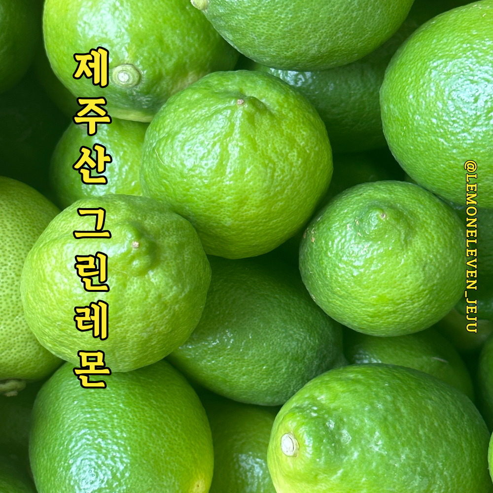제주 레몬 청레몬 서귀포 생과 5kg, 1개 - 상품 이미지