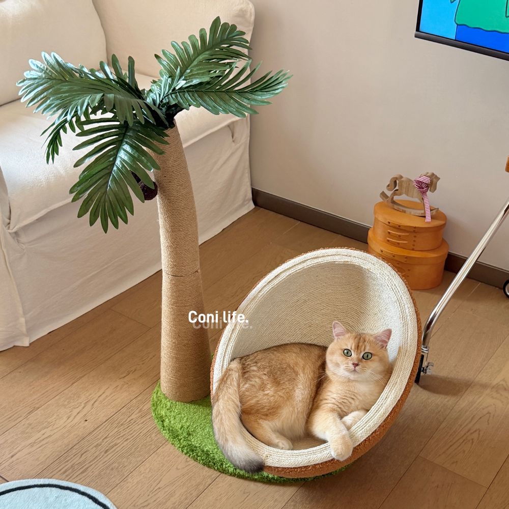 고양이 야자수 스트래쳐 캣타워 코코넛 토이 이미지 6