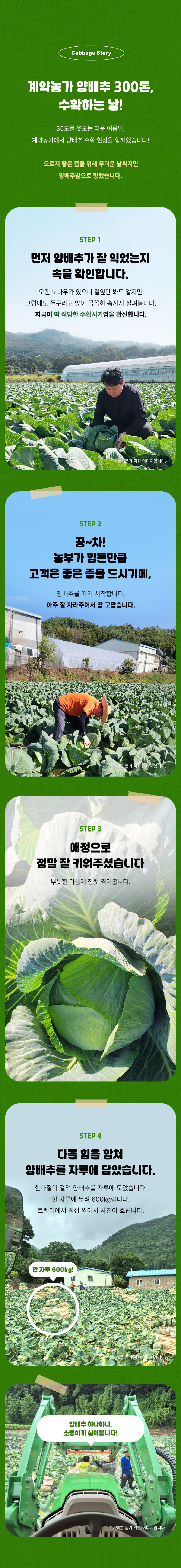 국내산 유기농 양배추즙 상품 설명 7