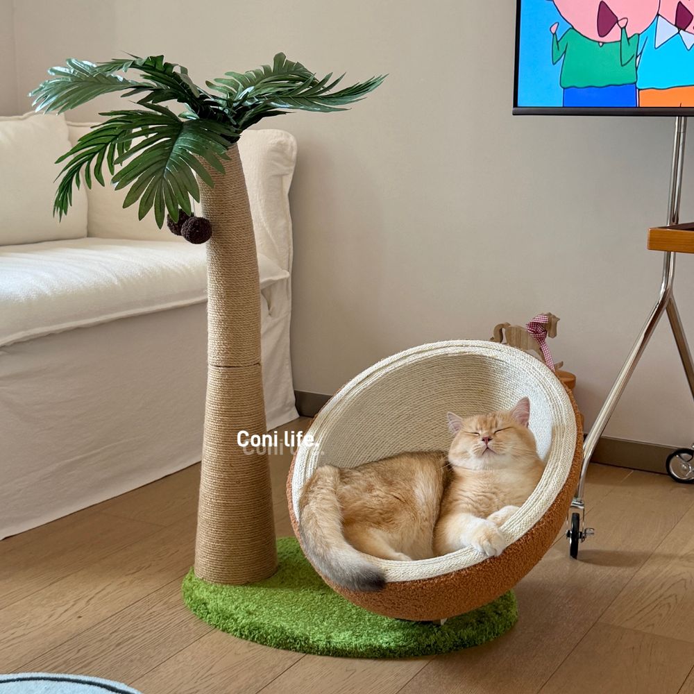 고양이 야자수 스트래쳐 캣타워 코코넛 토이 - 상세 이미지 4