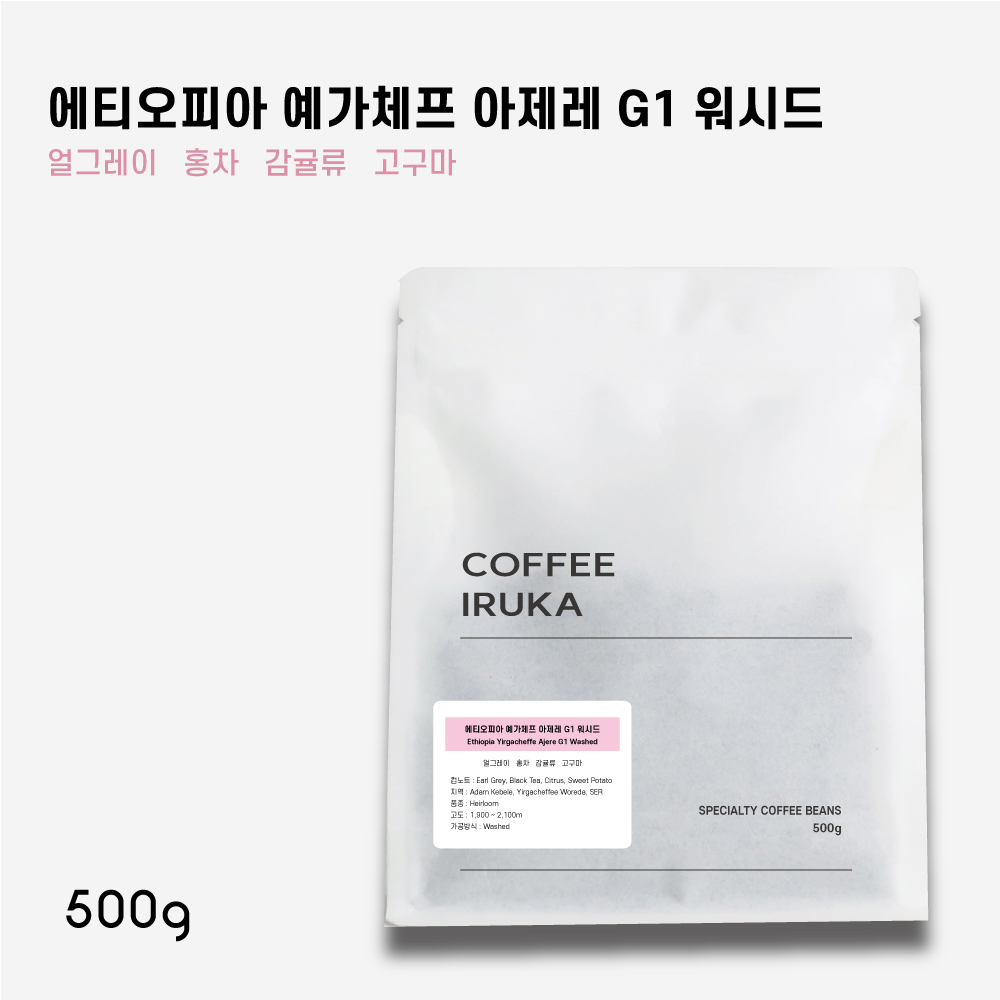 에티오피아 카파 비타 워시드 스페셜티커피 원두커피 500g - 메인 이미지
