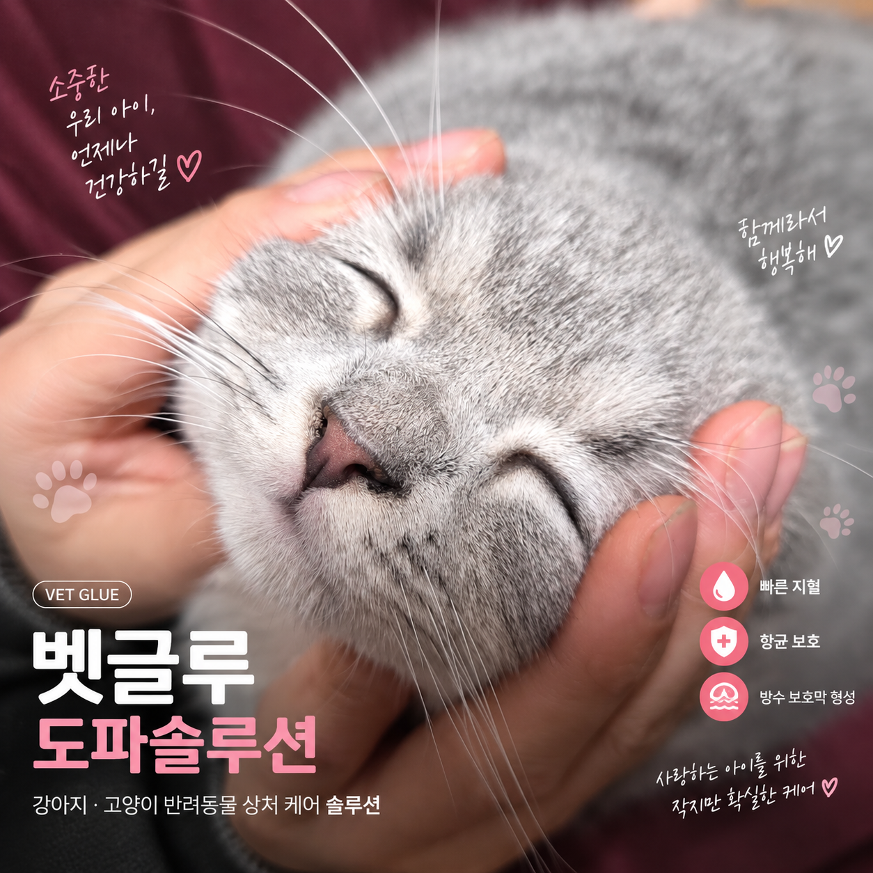 벳글루 도파솔루션 3ml 강아지 고양이 반려동물 상처 지혈 봉합 조직접착제 동물용 의료기기 - 상품 이미지