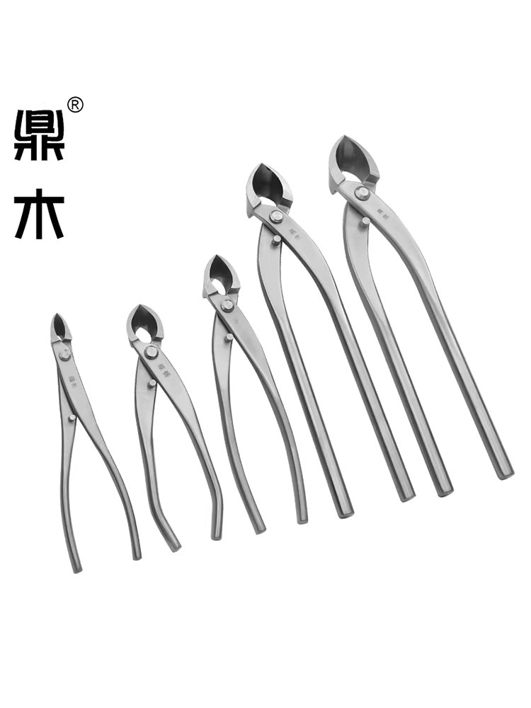 분재용 혹가위 나무 뿌리 꽃 정원 수형 모양 다듬기 170mm - 상세 이미지 2