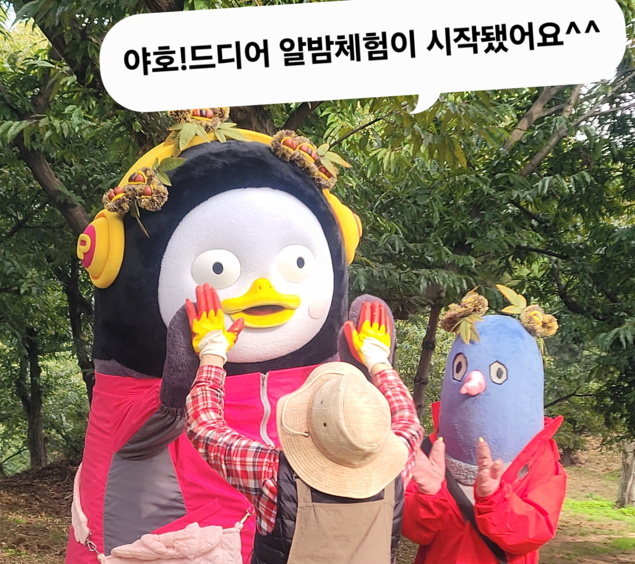 상품 이미지 2