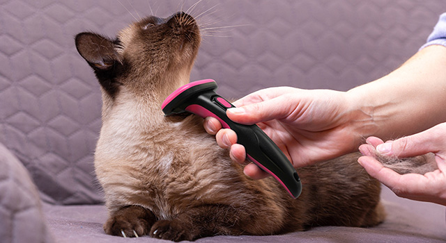 바비온 원터치 깔끔빗 브러시 강아지 고양이 죽은 털제거 털관리 빗 099R(소) - 메인 이미지