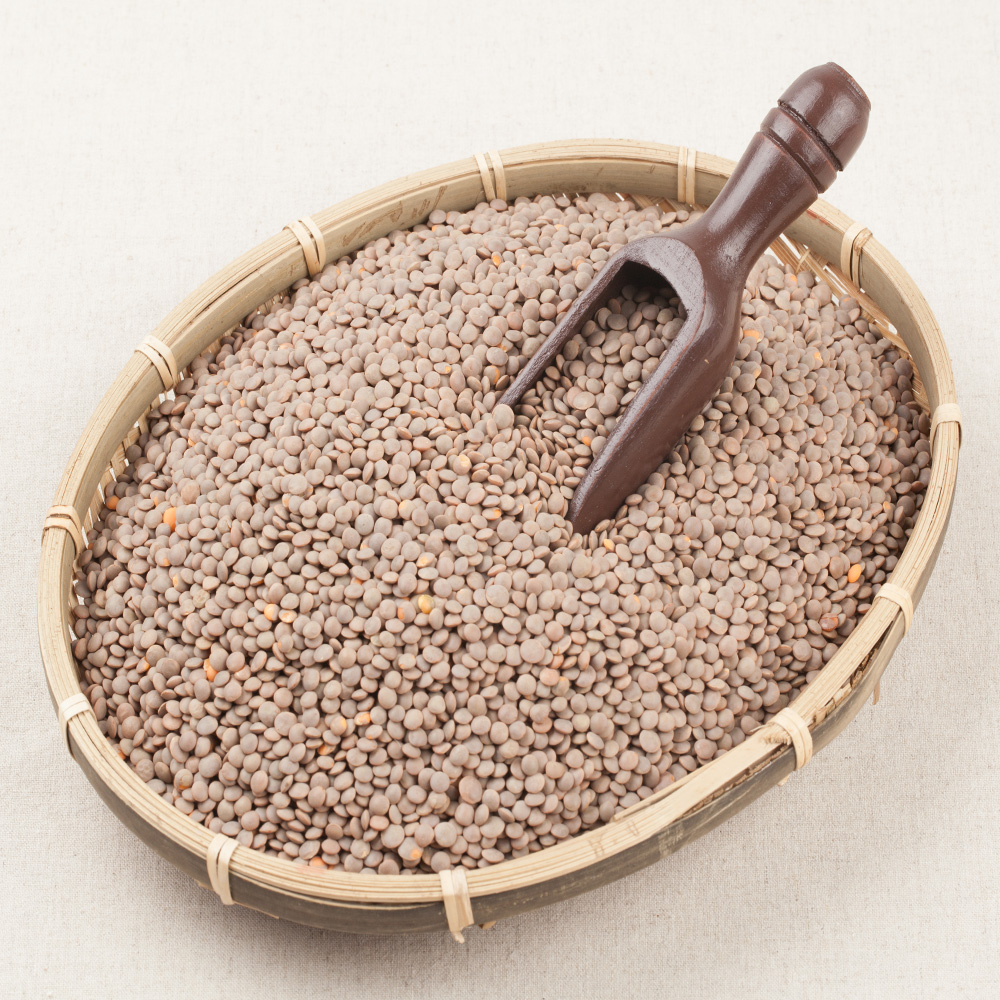토해원 렌틸콩 500g 캐나다산 갈색 렌즈콩 건강 잡곡밥 - 상세 이미지 3