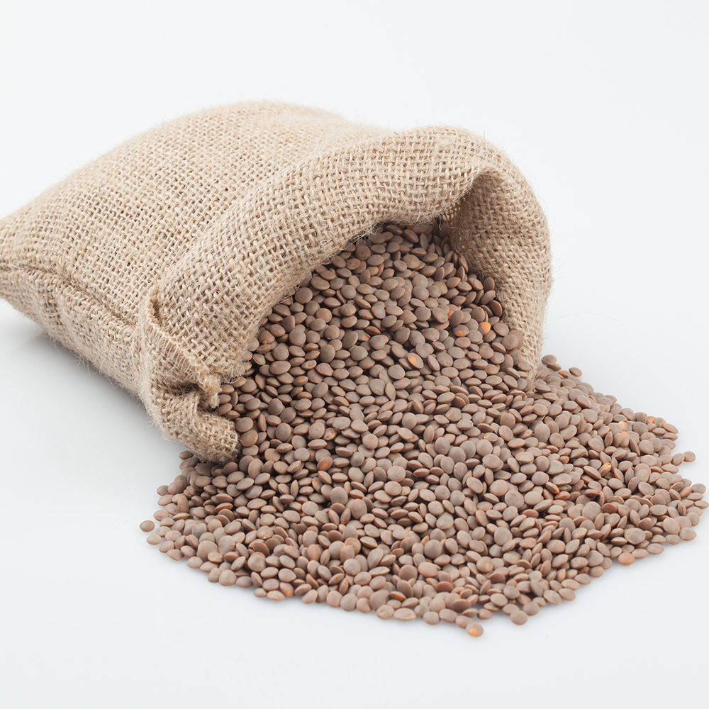 토해원 렌틸콩 500g 캐나다산 갈색 렌즈콩 건강 잡곡밥 - 상세 이미지 4