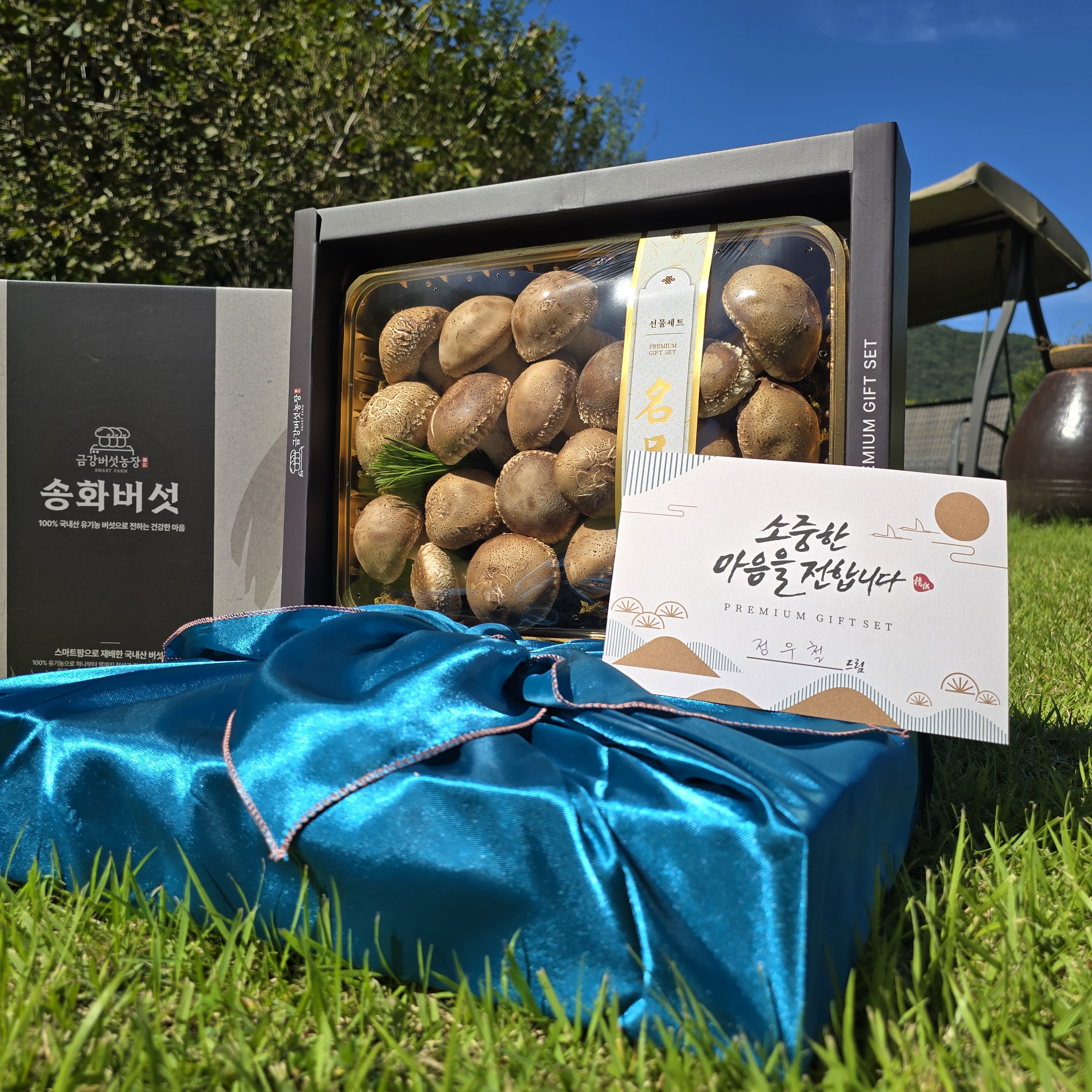 토해원 국산 프리미엄 송화버섯 선물세트 1kg 부모님 명절 선물 - 상품 이미지