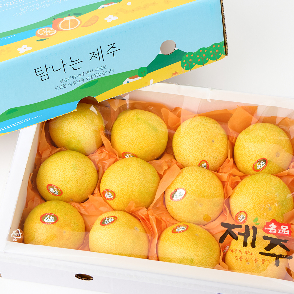 제주 황금향 한라봉,레드향,천혜향,카라향 가정용 선물용 하우스한라봉 꼬마소과 5kg,10kg - 상품 이미지