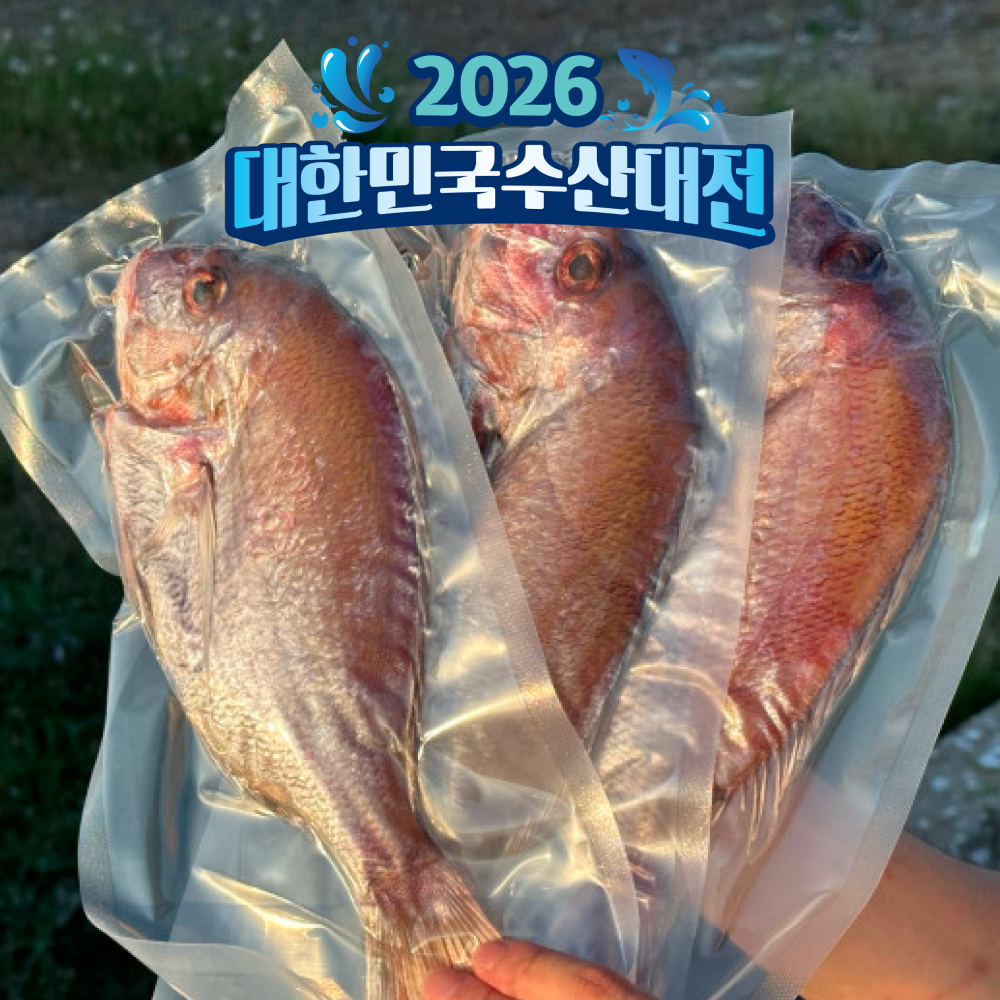 자연산 반건조 참돔 구이 생선 제수용 선물용 - 메인 이미지