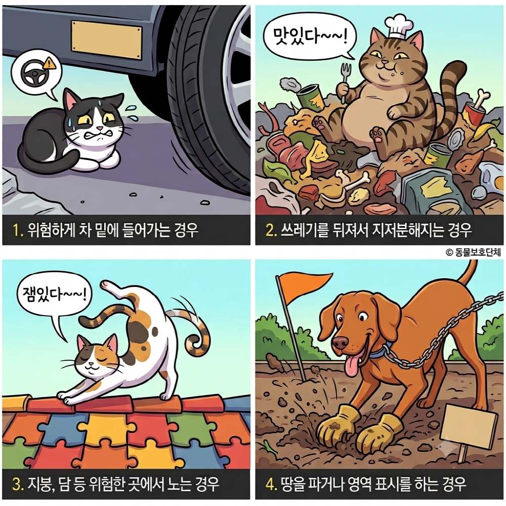 실외용 길고양이 기피제 퇴치제 접근금지 길냥이 강아지 싫어하는냄새 차량긁힘방지 - 상세 이미지 4