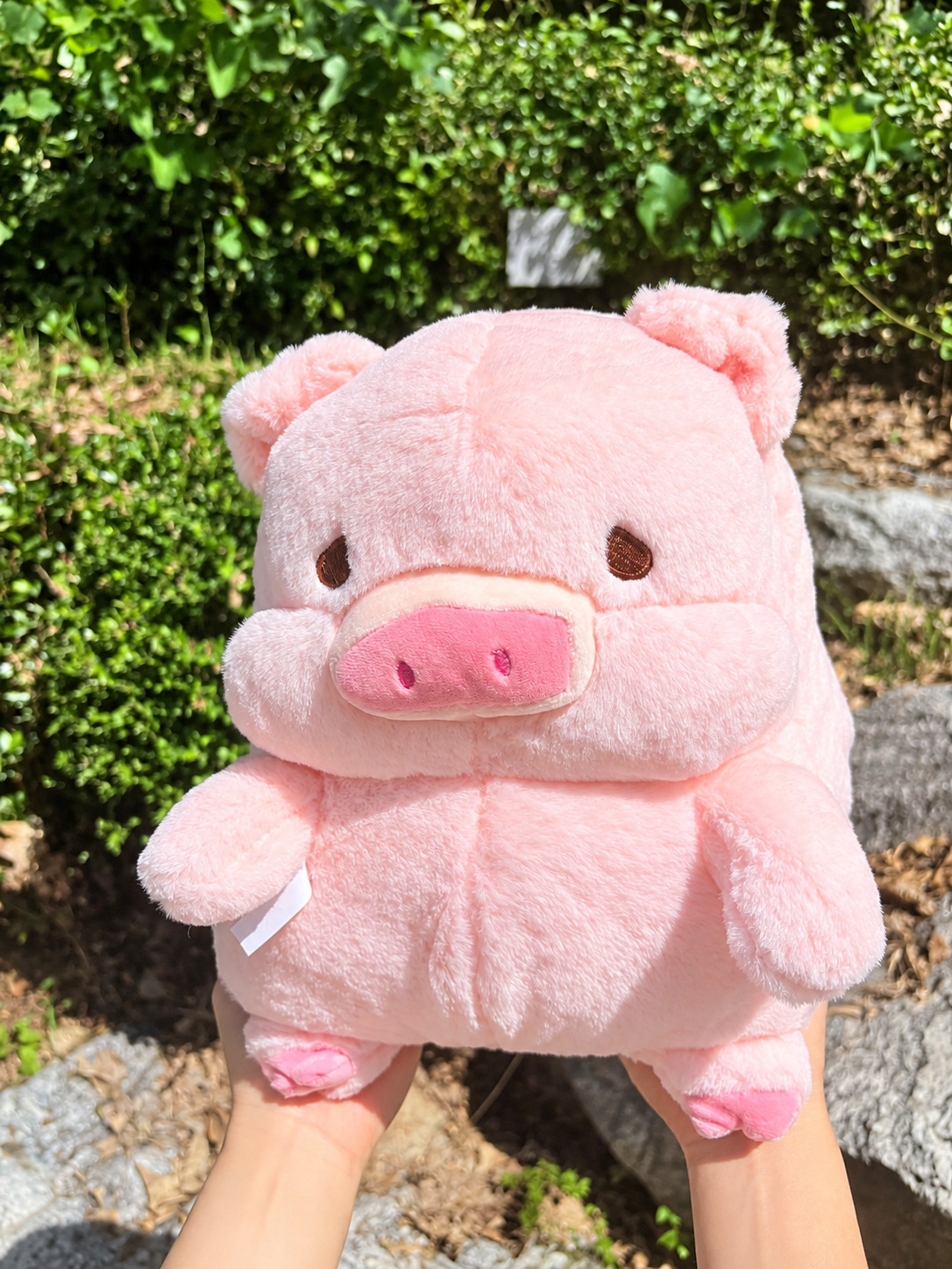다이어트 돼지 인형 바나나 먹는 돼지 모찌 애착 대형 봉제 동물 인형 쿠션 베개 인테리어 - 상세 이미지 3