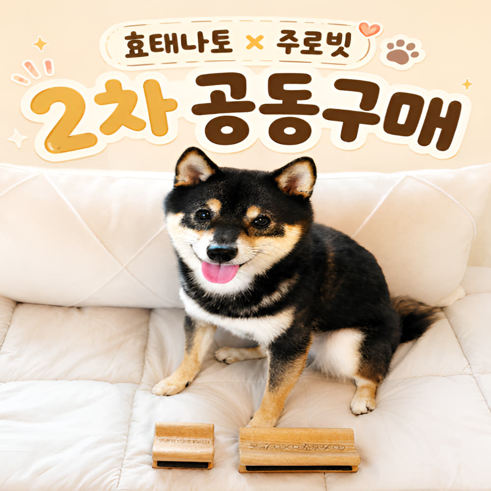 A-PARK 효태나토 X ZOORO 주로빗 노멀 강아지 고양이 단모 죽은털 제거 브러쉬 - 최저가 47,850원