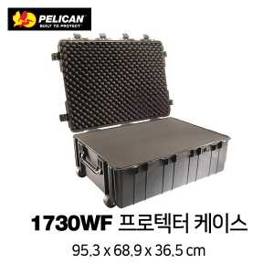 1730WF 트랜스폴트 캐리온 하드케이스 (With Foam)