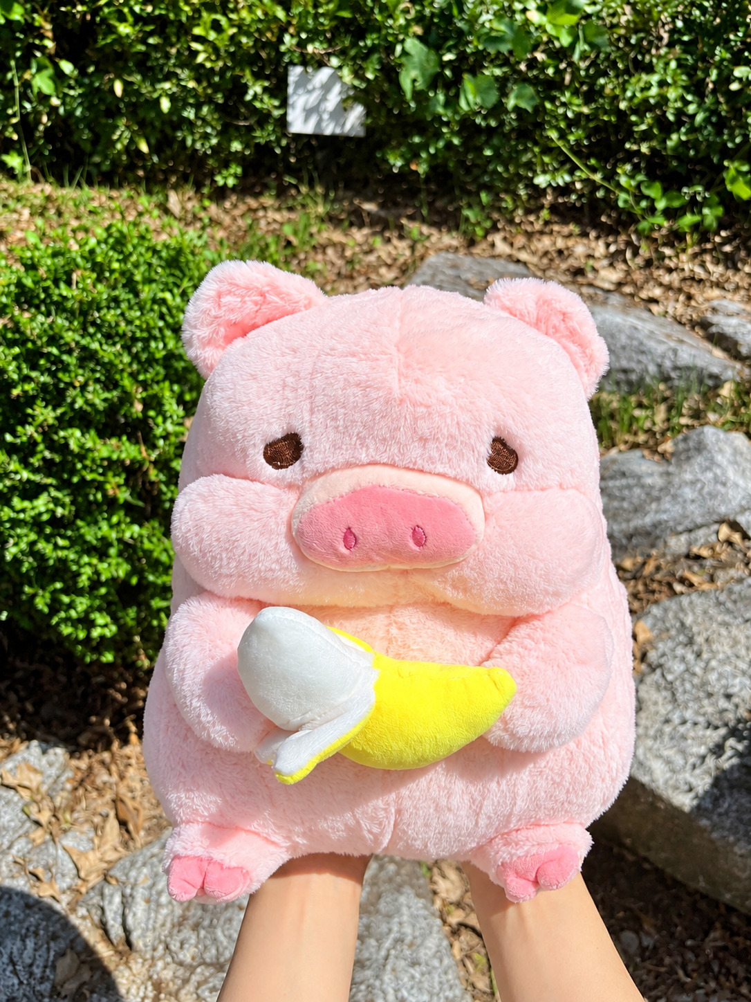다이어트 돼지 인형 바나나 먹는 돼지 모찌 애착 대형 봉제 동물 인형 쿠션 베개 인테리어 - 상세 이미지 2
